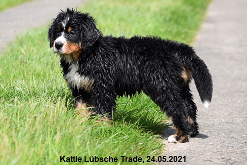 Kattie Lbsche Trade, 24.05.2021