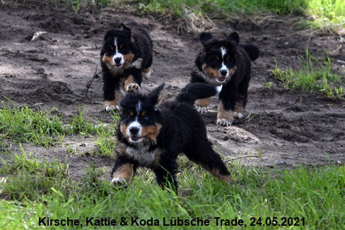 Kirsche, Kattie & Koda Lbsche Trade, 24.05.2021