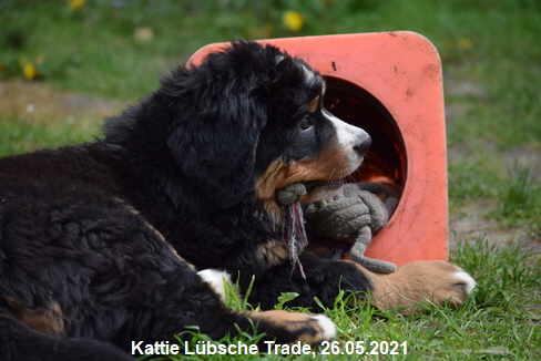 Kattie Lbsche Trade, 26.05.2021