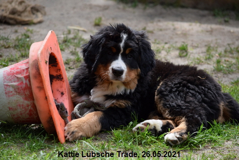 Kattie Lbsche Trade, 26.05.2021