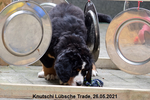 Knutschi Lbsche Trade, 26.05.2021