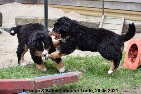 Kirsche & Kattie Lbsche Trade, 26.05.2021