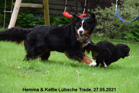 Hemma & Kattie Lbsche Trade, 27.05.2021