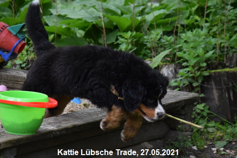 Kattie Lbsche Trade, 27.05.2021