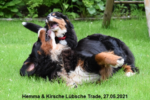 Hemma & Kirsche Lbsche Trade, 27.05.2021