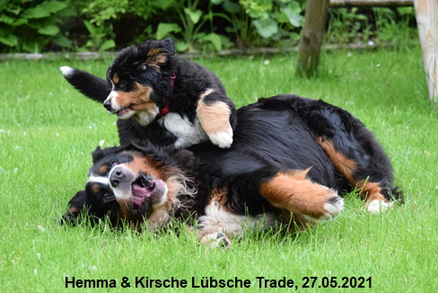 Hemma & Kirsche Lbsche Trade, 27.05.2021