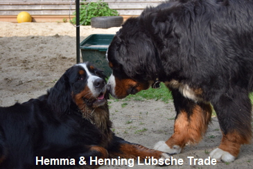 Hemma & Henning Lübsche Trade