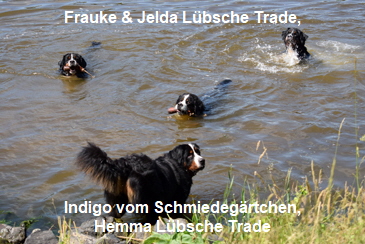 Frauke & Jelda Lübsche Trade, Indigo vom Schmiedegärtchen, Hemma Lübsche Trade