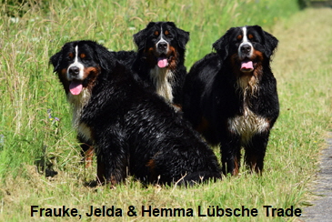 Frauke, Jelda & Hemma Lübsche Trade