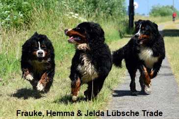 Frauke, Hemma & Jelda Lübsche Trade