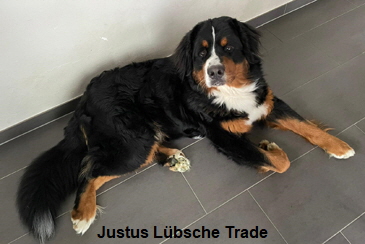 Justus Lbsche Trade