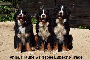 Fynna, Frauke & Frisbee Lbsche Trade