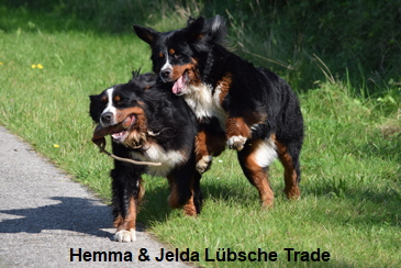 Hemma & Jelda Lbsche Trade