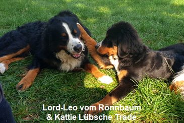 Lord-Leo vom Rönnbaum & Kattie Lübsche Trade