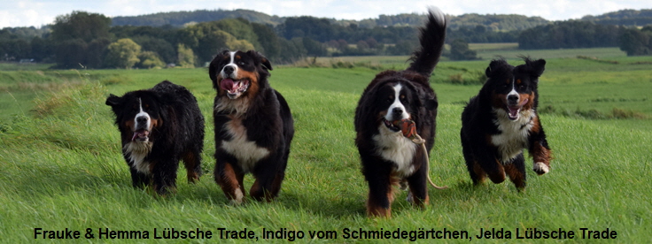 Frauke & Hemma Lübsche Trade, Indigo vom Schmiedegärtchen, Jelda Lübsche Trade