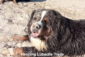 Henning Lbsche Trade