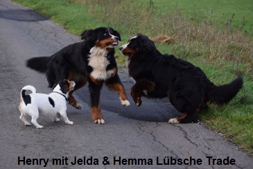 Henry mit Jelda & Hemma Lübsche Trade