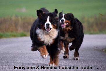 Ennylane & Hemma Lübsche Trade