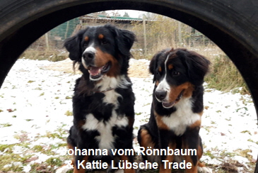Johanna vom Rönnbaum & Kattie Lübsche Trade