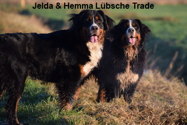 Jelda & Hemma Lübsche Trade
