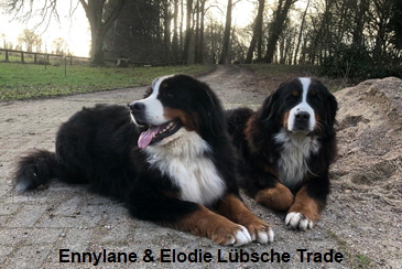 Ennylane & Elodie Lübsche Trade