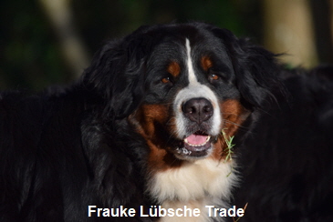 Frauke Lübsche Trade