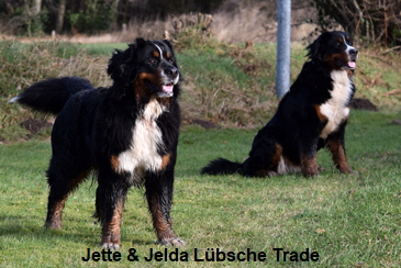 Jette & Jelda Lübsche Trade