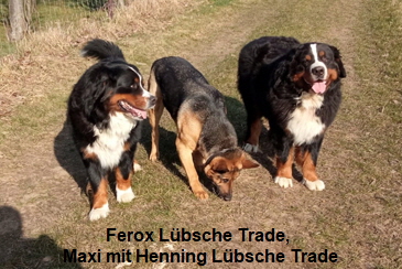 Ferox Lübsche Trade, Maxi, Henning Lübsche Trade