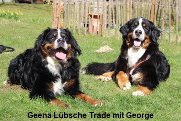 Geena Lübsche Trade mit George