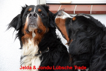 Jelda & Jondu Lübsche Trade
