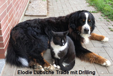 Elodie Lübsche Trade mit Drilling
