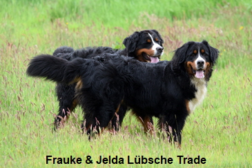 Frauke & Jelda Lübsche Trade