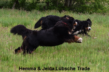 Hemma & Jelda Lübsche Trade