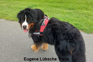Eugene Lübsche Trade