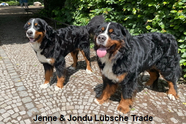Jenne & Jondu Lübsche Trade