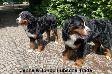Jenne & Jondu Lübsche Trade
