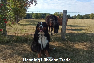 Henning Lübsche Trade
