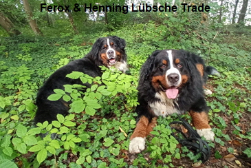 Ferox & Henning Lübsche Trade
