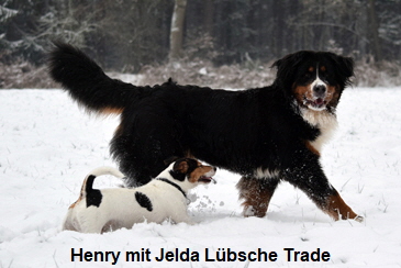 Henry mit Jelda Lübsche Trade