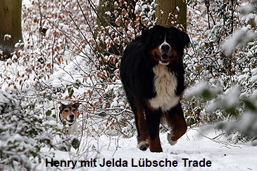 Henry mit Jelda Lübsche Trade