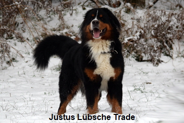 Justus Lübsche Trade