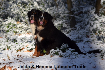 Jelda & Hemma Lbsche Trade