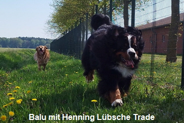 Balu mit Henning Lbsche Trade