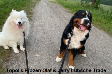 Topolis Frozen Olaf & Jerry Lbsche Trade
