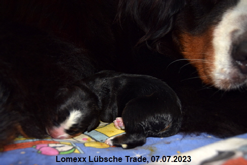 Lomexx Lübsche Trade, 07.07.2023
