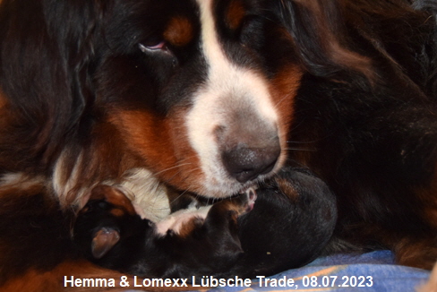 Hemma & Lomexx Lübsche Trade, 08.07.2023