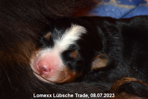 Lomexx Lübsche Trade, 08.07.2023