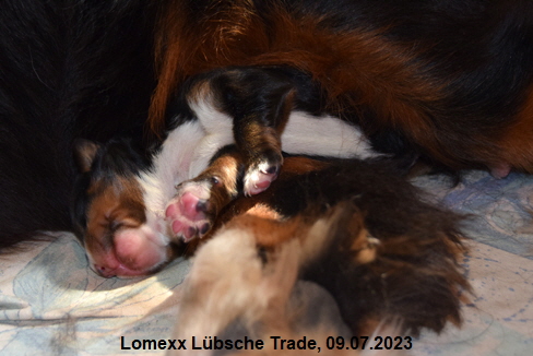 Lomexx Lübsche Trade, 09.07.2023