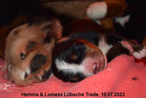 Hemma & Lomexx Lübsche Trade, 10.07.2023