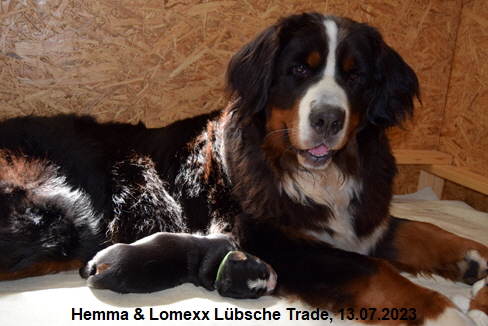 Hemma & Lomexx Lübsche Trade, 13.07.2023